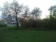 Пильки з panoramio.com