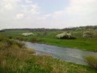 Преображенське з panoramio.com