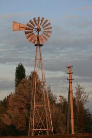 Олексіївка - Останні фото