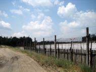 Нова Збур'ївка з panoramio.com