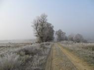 Боброве з panoramio.com