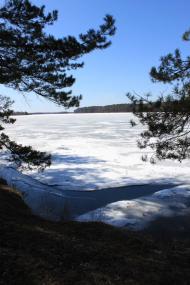 Тетерівка з panoramio.com