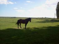 Цеперів з panoramio.com