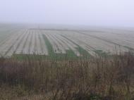 Проліски з panoramio.com