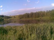 Підлипки - Останні фото