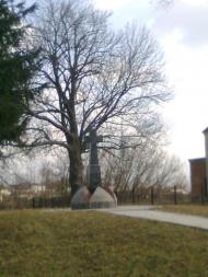 Краснопілка з panoramio.com