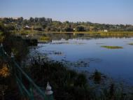 Бар з panoramio.com