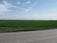 Димитрове з panoramio.com