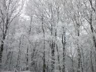 Газове з panoramio.com