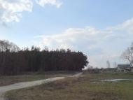 Кам'янка з panoramio.com - Каменка