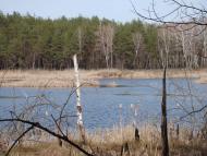 Жовтневе з panoramio.com