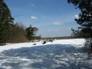 Шубків з panoramio.com