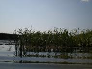 Піски з panoramio.com