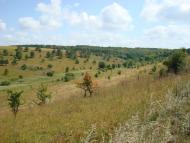 Тригуби з panoramio.com