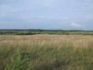 Нитине - Останні фото