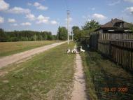 Жукля з panoramio.com