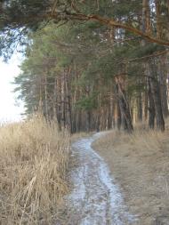 Чепелі з panoramio.com