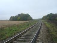 Буйволівці з panoramio.com