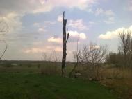 Преображенське з panoramio.com