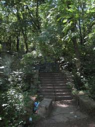 Малинове з panoramio.com
