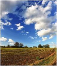 Шушківка з panoramio.com