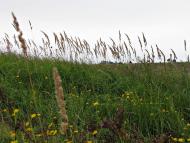 Дідівці з panoramio.com