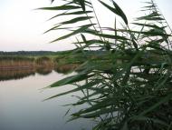 Степний Яр з panoramio.com