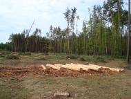 Кам'янка з panoramio.com