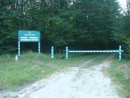 Лісо-Березівка з panoramio.com