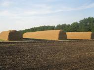 Червонокостянтинівка з panoramio.com