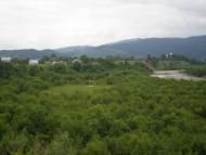 Делятин з panoramio.com