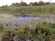 Фертешолмаш з panoramio.com