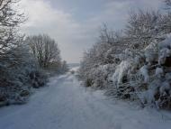 Гориславичі з panoramio.com