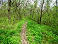 Привітне з panoramio.com