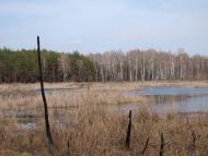 Жовтневе з panoramio.com