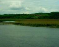 Мостове - Останні фото