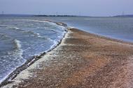 Калинівка з panoramio.com