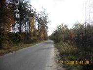 Нова Буда з panoramio.com