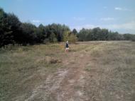 Стара Водолага з panoramio.com