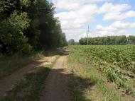 Саша з panoramio.com