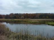 Польова Лисіївка з panoramio.com