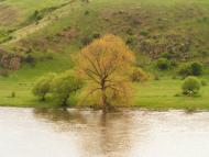 Салькове з panoramio.com