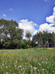 Голосків з panoramio.com