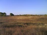 Великі Копані з panoramio.com