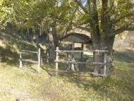 Бабенки з panoramio.com