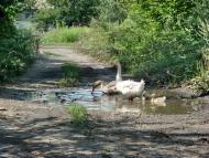 Степний Яр з panoramio.com