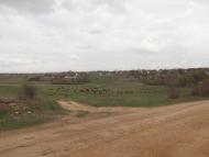 Основа з panoramio.com