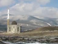 Земляничне з panoramio.com