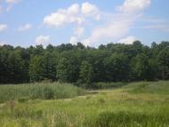 Сваркове з panoramio.com