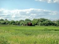 Степний Яр з panoramio.com